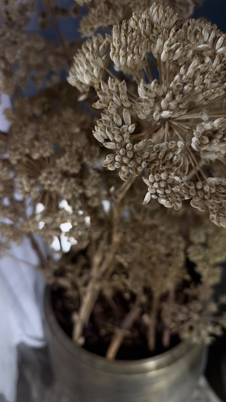 XXL Goldmetall Bodenvase inkl getrockneten Engelwurz