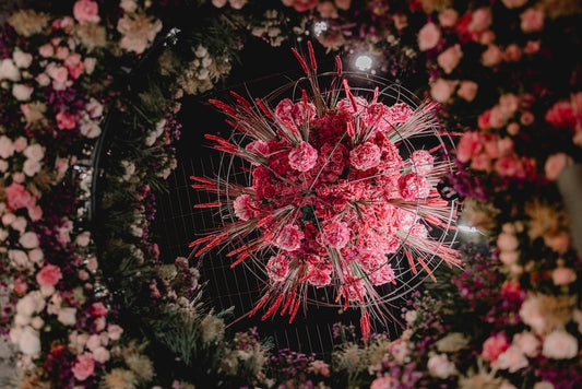 FLORALE DUFTEXPLOSION - Lebenszyklus EINS - LAGA Bad Nenndorf