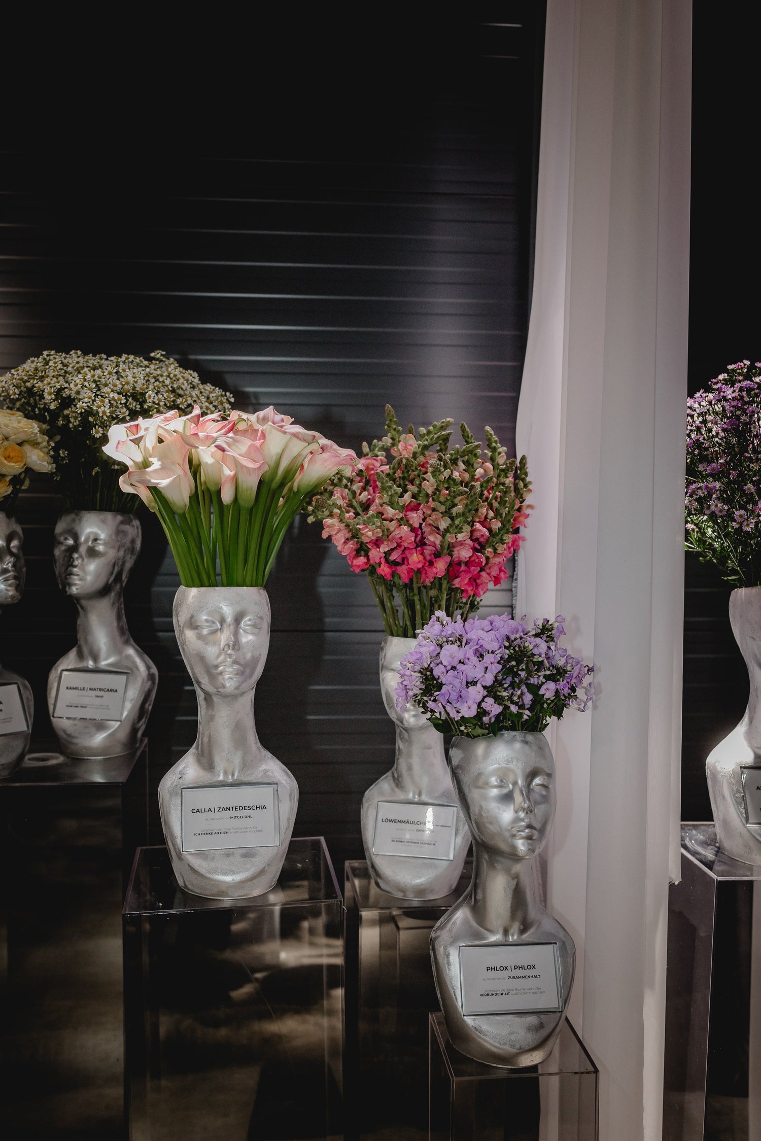 Blumen der Bedeutung – LAGA26