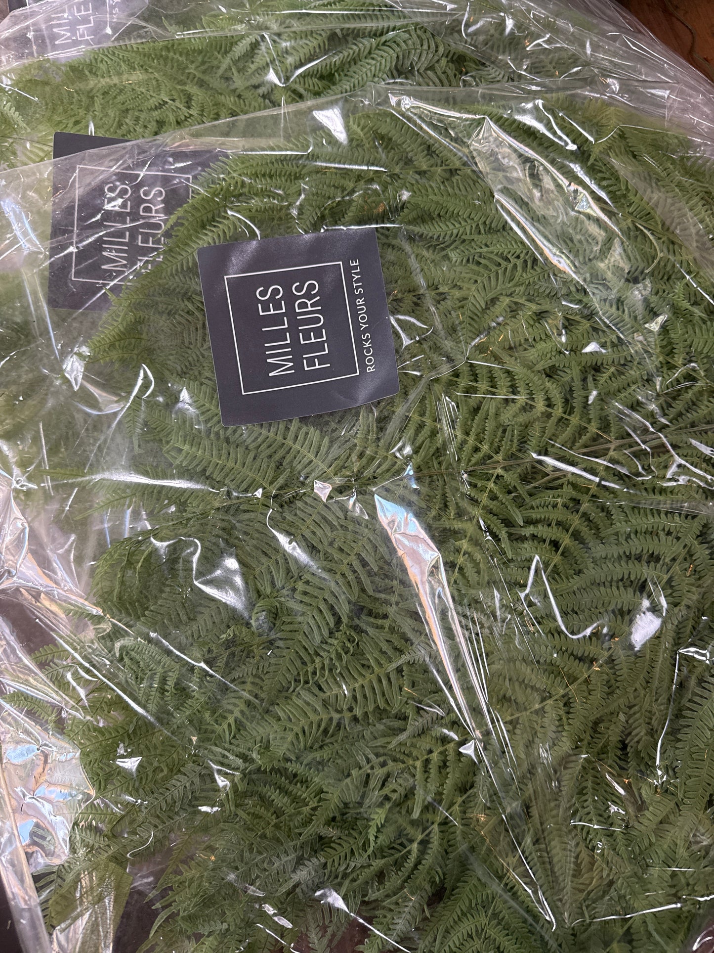 Haltbarer Farn - grün