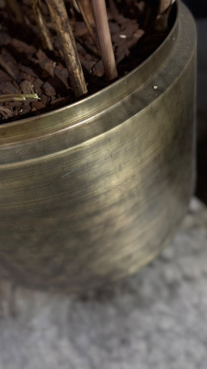 XXL Goldmetall Bodenvase inkl getrockneten Engelwurz
