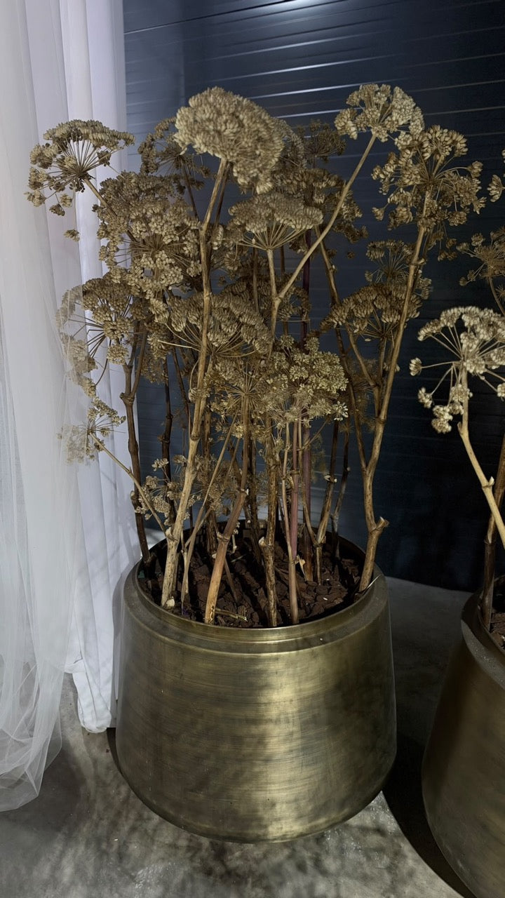 XXL Goldmetall Bodenvase inkl getrockneten Engelwurz