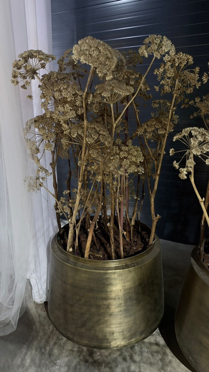 XXL Goldmetall Bodenvase inkl getrockneten Engelwurz