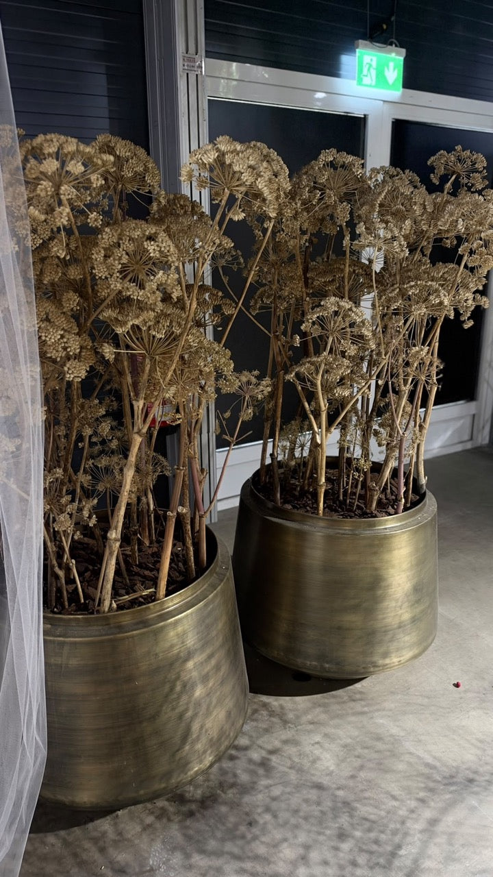 XXL Goldmetall Bodenvase inkl getrockneten Engelwurz