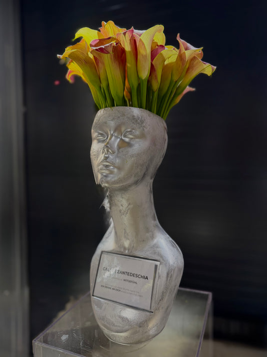 Calla, apricot (Mitgefühl) – 10 Stück