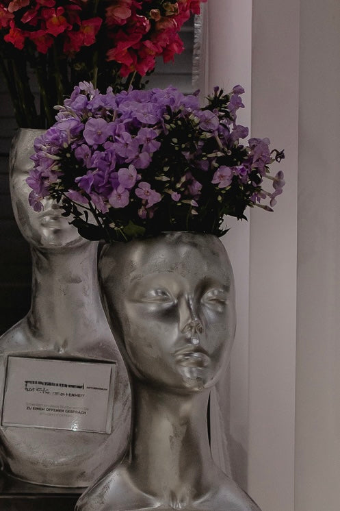 Phlox (Zusammenhalt) – 20 Stück