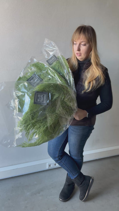 Haltbarer Farn - grün